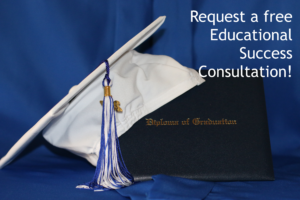 Educational success consultations